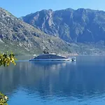Magnolia Adriatic