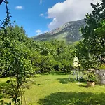 Apartments Nikovic