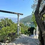Vila Violeta