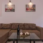 Studio Apartment Kovacic