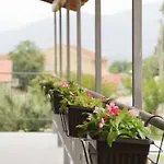 House9