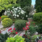 Green Oasis