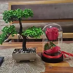 Little Bay Apart 2