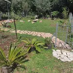 Apartman Sa Sopstvenim Dvoristem , Pored Mora