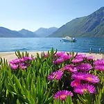 Duplex Kotor Ljuta With Great Views