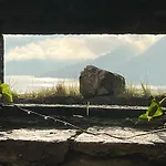 Painter'S House