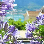 Apartmani Peranovic-Zlatne Njive
