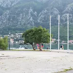 Apartman Kotor