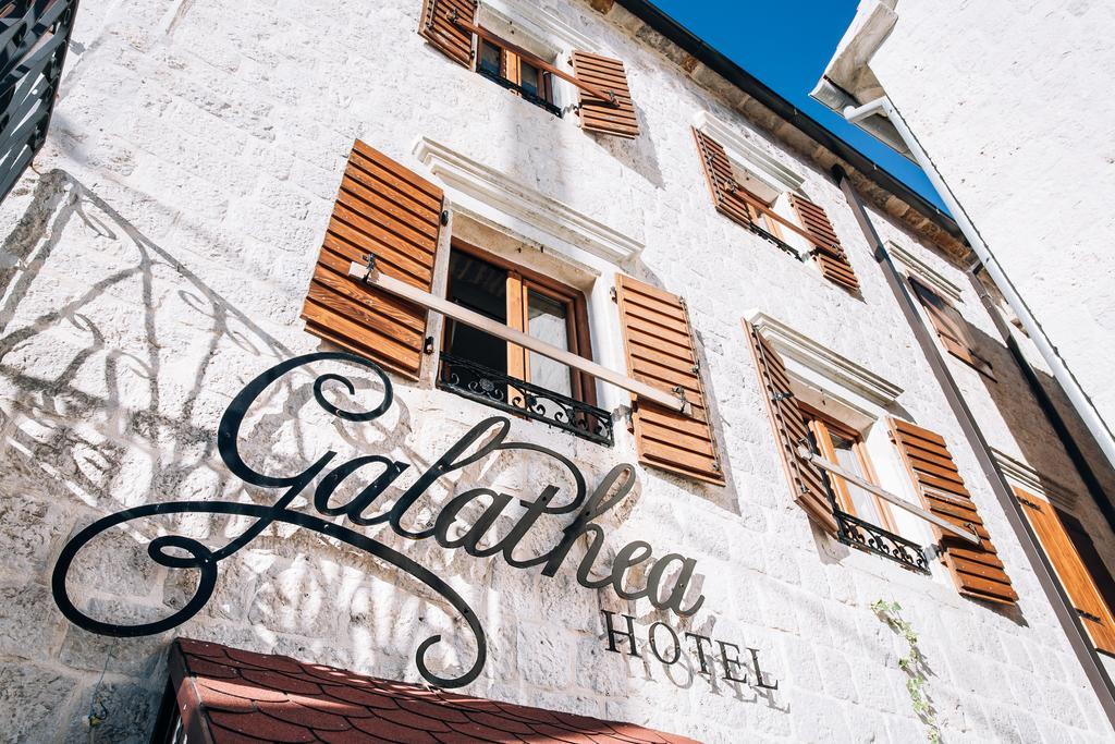 Hotel Galathea 3*