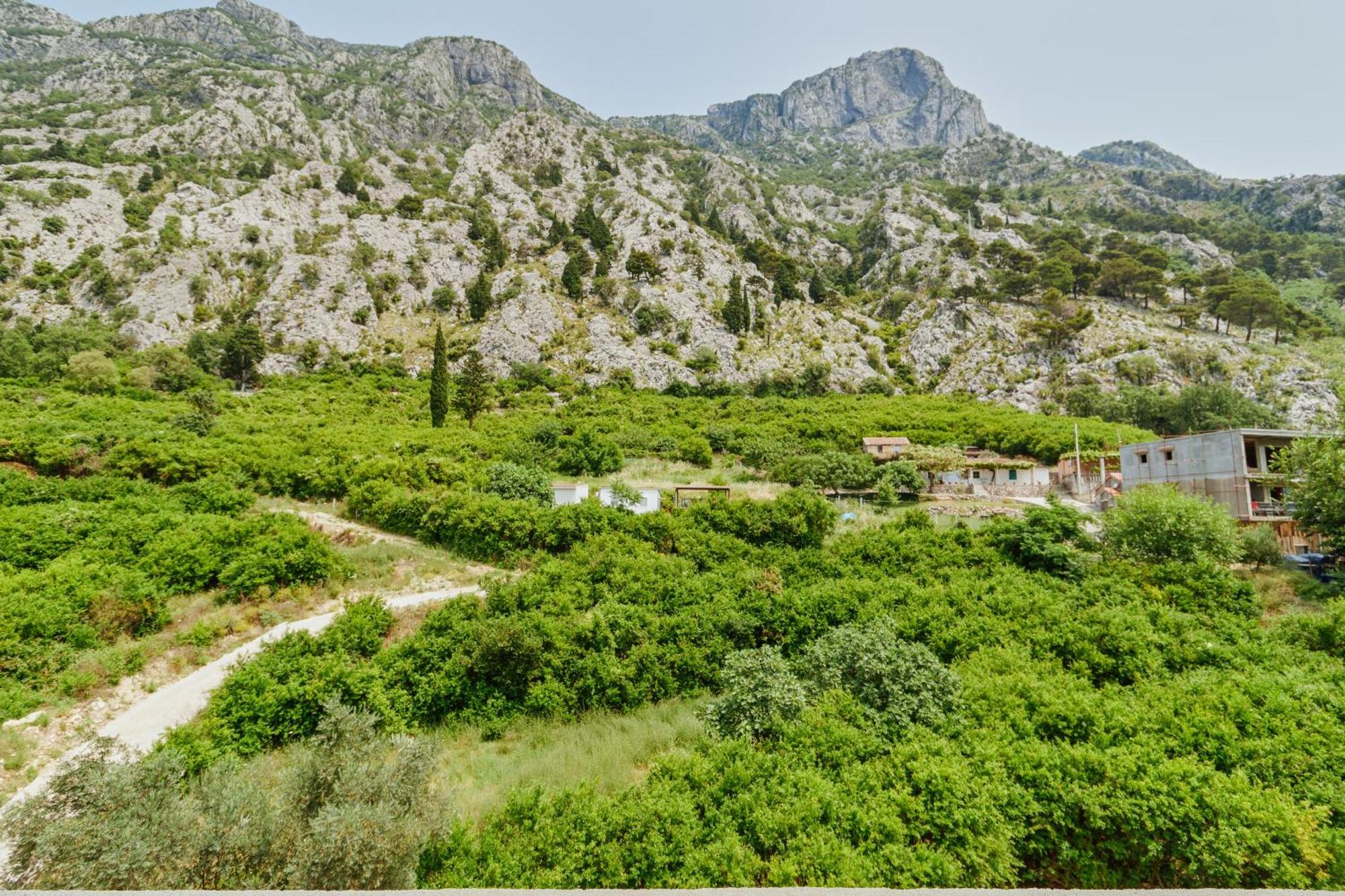 Horizon Bay With Sea View Apartamento Kotor