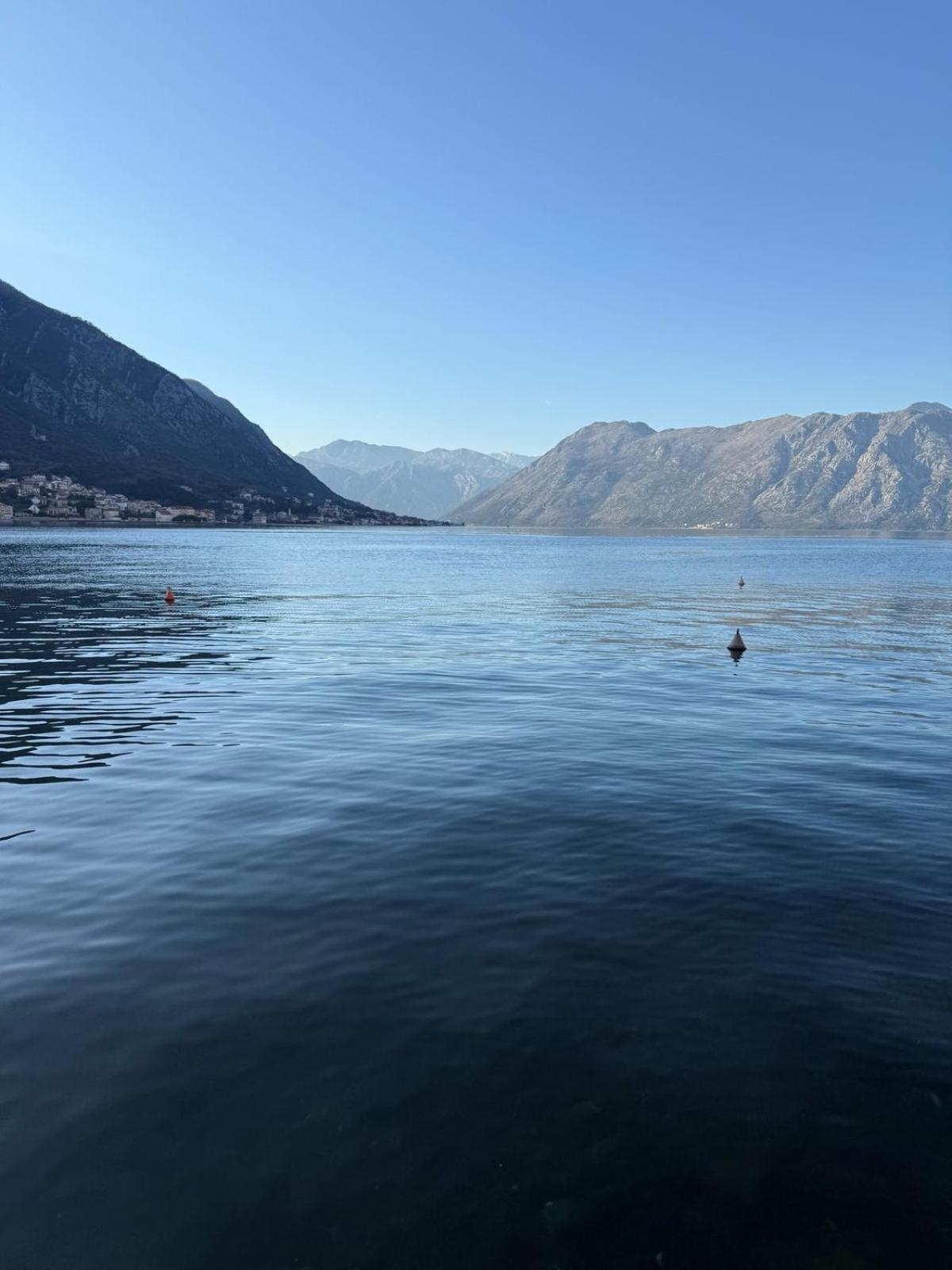 Alex 50m From The Sea,free Private Parking Appartement *