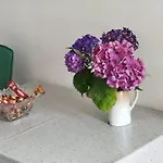 Apartman Biser