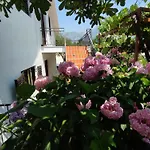 Holiday House In The Kotor Bay