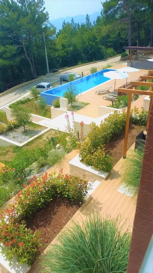 Cozy With Pool And Splendid Seaview Апартаменты Kavac