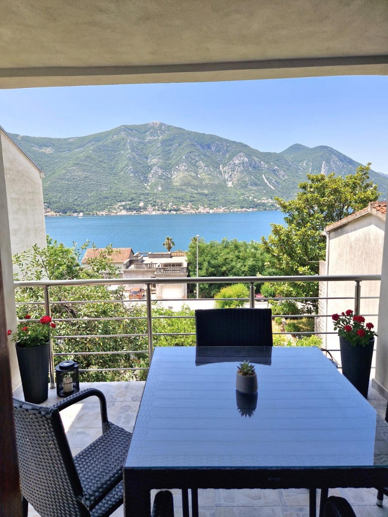 Mmp2, Kotor