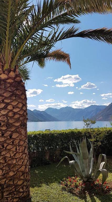 Maniva Appartement Kotor
