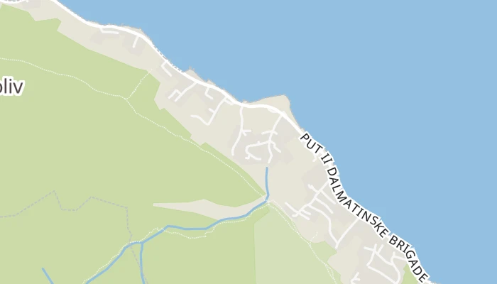 地图