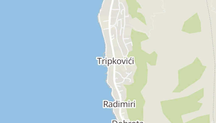 Χάρτης