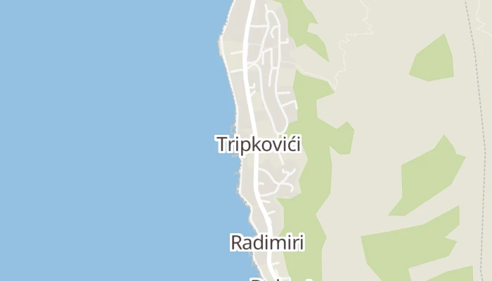 Χάρτης