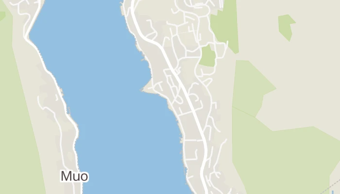 Térkép