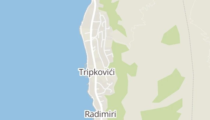 Χάρτης
